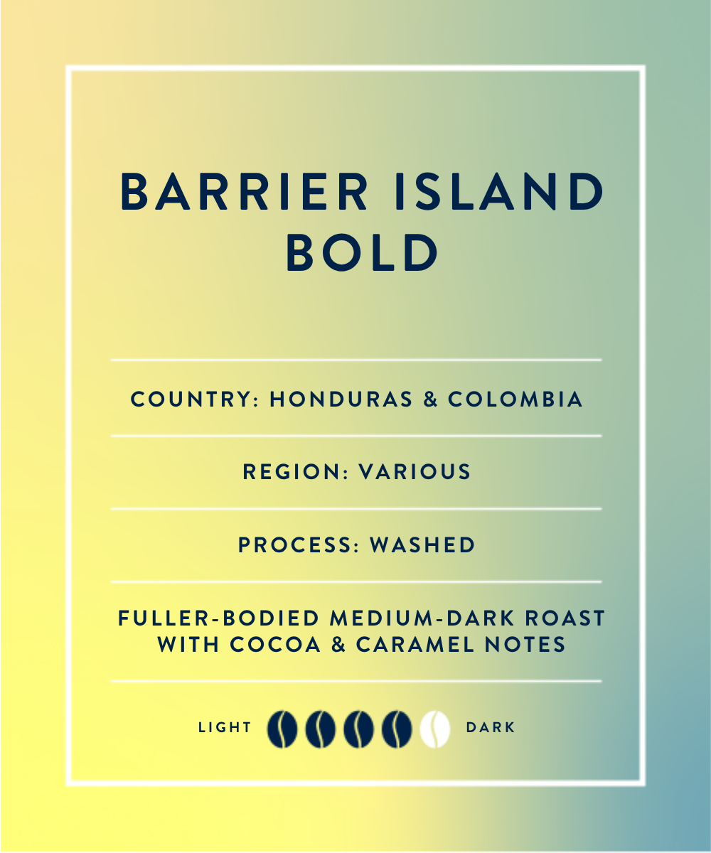 Barrier Island Bold