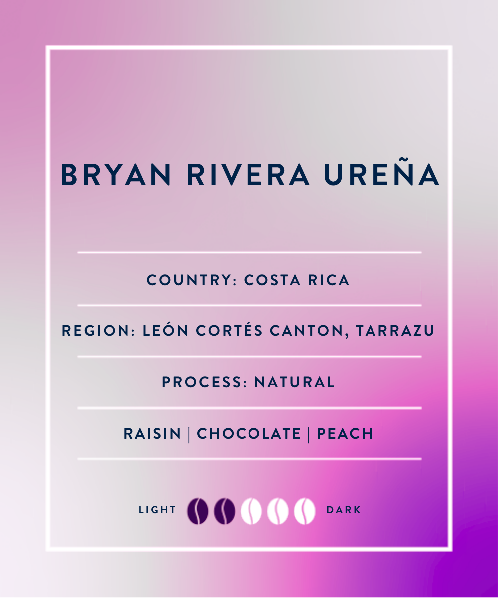 Bryan Rivera Ureña - Natural Bourbon