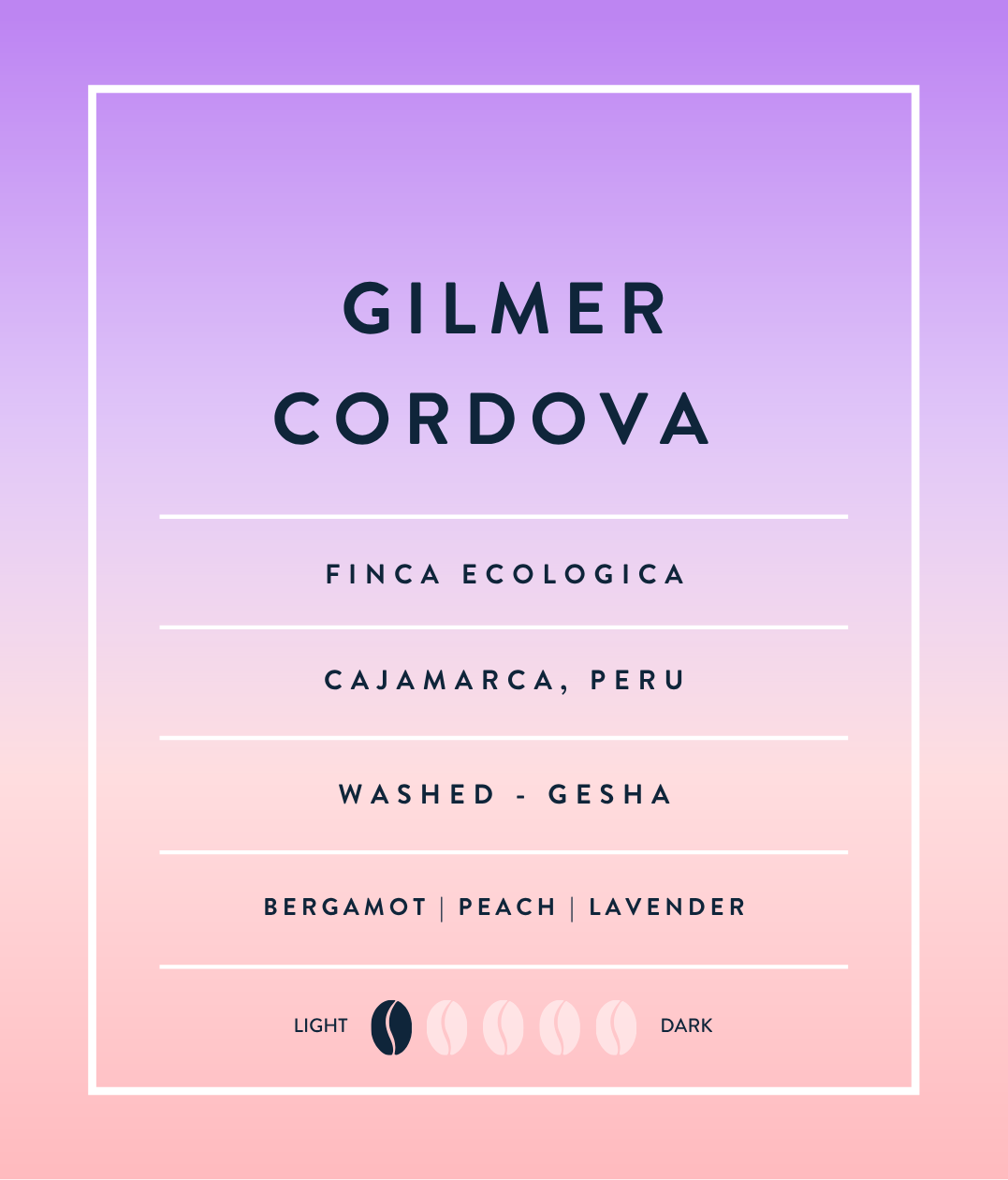 Peru Gesha - Gilmer Cordova