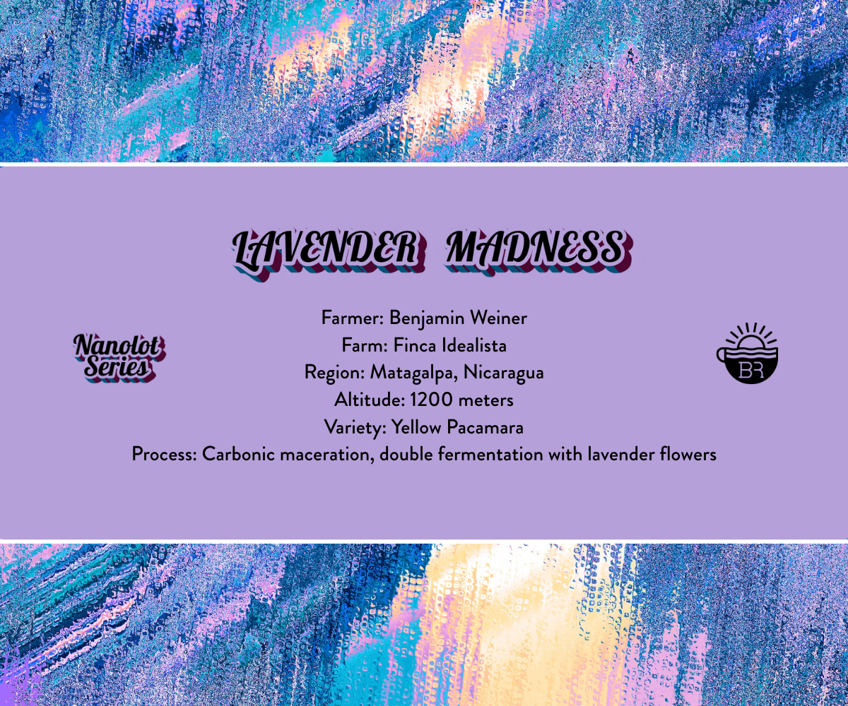 Lavender Maceration Madness — Nanolot (4 oz Tin)