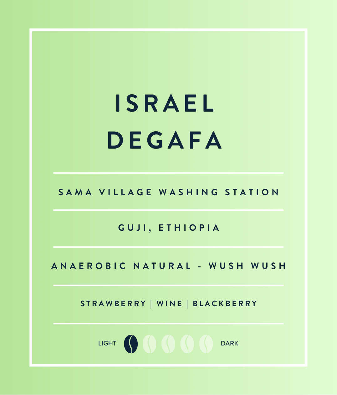 Ethiopia Wush Wush Anaerobic Natural