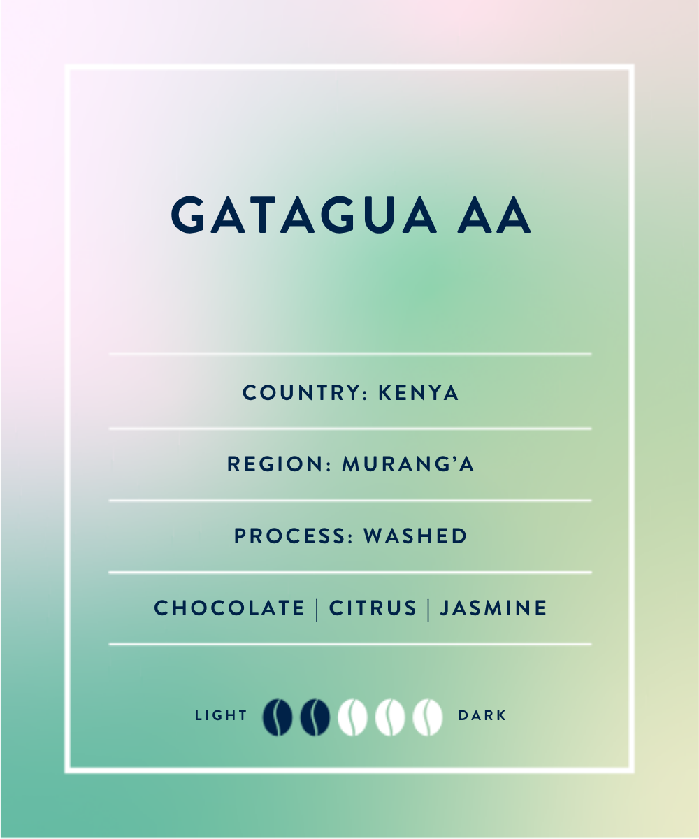 Kenya Muranga Gatagua