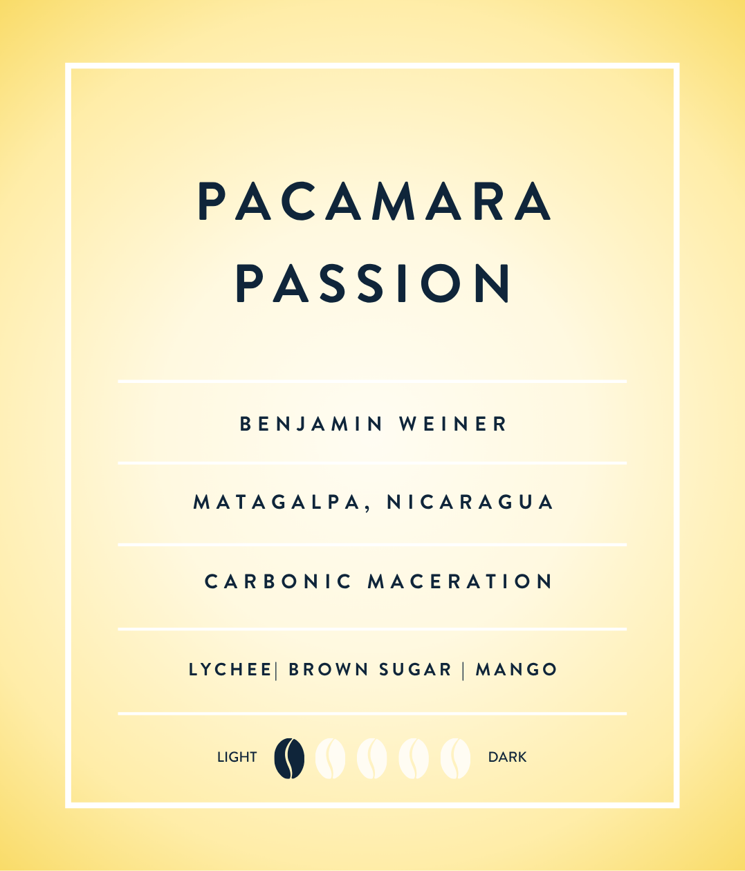 Pacamara Passion - Nanolot (6 oz Tin)