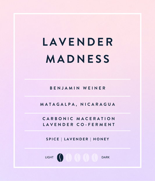 Lavender Maceration Madness — Nanolot (6 oz Tin)