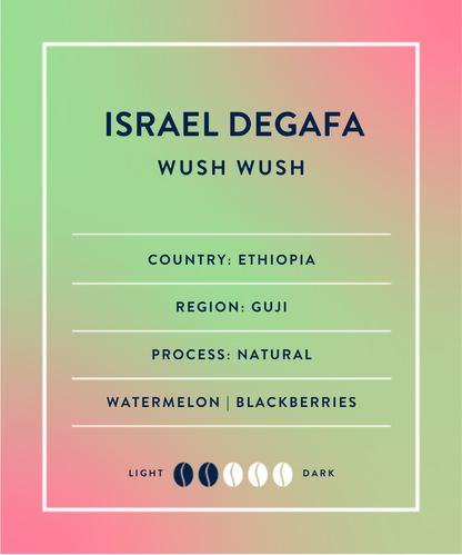 Israel Degafa - Anaerobic Natural