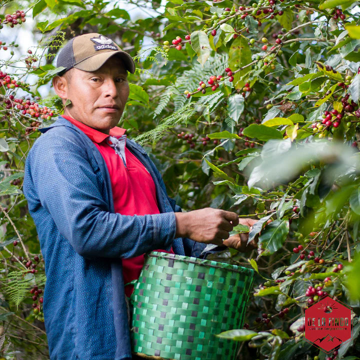Organic La Esmeralda