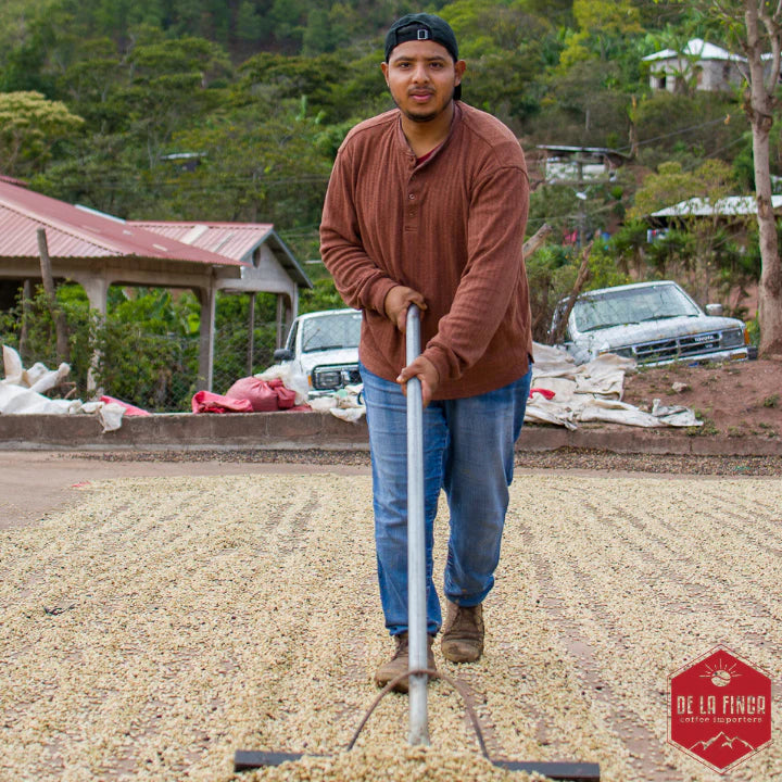 Organic La Esmeralda