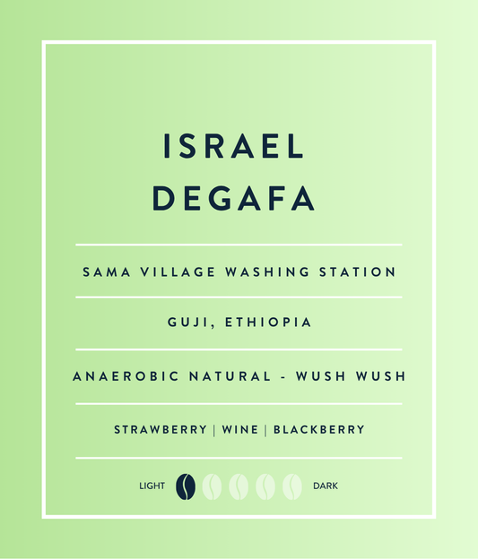 Ethiopia Wush Wush Anaerobic Natural