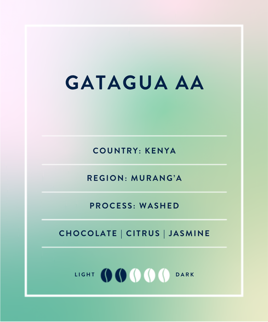 Kenya Muranga Gatagua