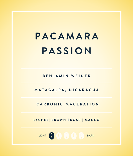Pacamara Passion - Nanolot (6 oz Tin)