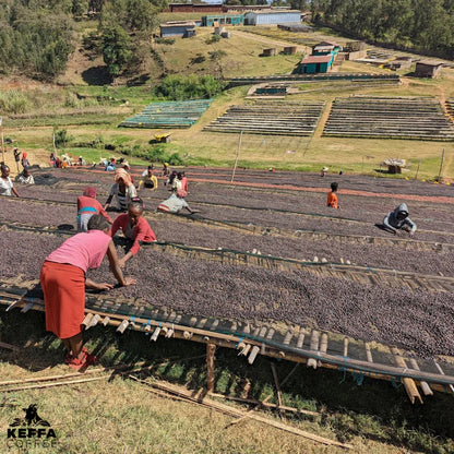 Israel Degafa - Anaerobic Natural